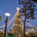 거창크리스마스트리문화축제 | 경상도 겨울 여행 가볼만한곳 축제 명소 베스트10 f. 2026년 최신 일정 주차 꿀팁 완벽 가이드