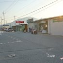 터미널농약사 이미지