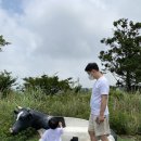 푸른솔목장 이미지