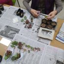 원예,미술치유 이미지