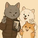 주천시장화장실(2) | 영월 1박2일 한옥 촌캉스 여행~! 영월 섶다리 포토존