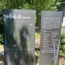 대호정비 | 부산 기장 가볼만한곳 아홉산숲 초록 감성 가득한 산책코스