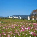 숲뜰근린공원 이미지