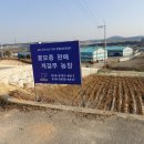 여주나무요양병원 이미지