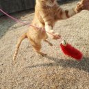 영대네거리 이미지