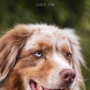 스테이 기북 네이버블로그