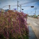 하서중학교 이미지