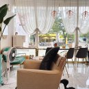 뮤즈헤어갤러리 이미지