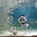 ㈜제주해양과학관 - 3682 | ㈜제주해양과학관