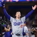 JP Gym(255) 이미지