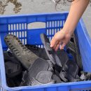 HK시스템 | 베트남 사파 여행 슬리핑 버스 HK 버스 예약 및 탑승 내돈내산 솔직 후기