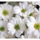 진주 종합경기장 미 이미지