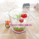 행잉플랜트 공기정화식물체험 이미지