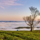 내셔널지오그래픽 태백점 이미지