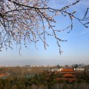 맑은 물, 깨끗한 지구 이미지