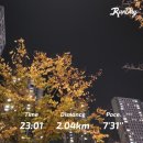 [런데이 30분 달리기 도전] 8주 동안 30분 달리기 챌린지 완주한 후기