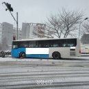 제주동동 이미지