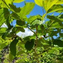 유마트휘트니스센타 이미지