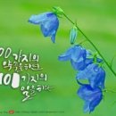 캘리그라피 이미지