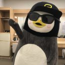 [프로야구] 2019 정규시즌 마지막 경기결과 및 최종순위 이미지