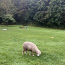 대관령 당구장 이미지