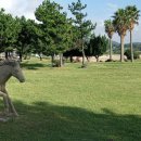 표선환승정류장 이미지