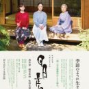 일일시호일 이미지