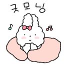 플로우인테리어 이미지