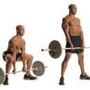 피네테스 이미지