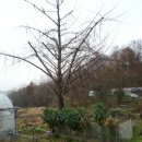 다락골농장 이미지