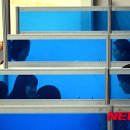 행복취업