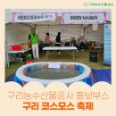 구리 코스모스 축제 구리농수산물공사 홍보부스 후기