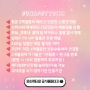 은아 펫 타운 이미지