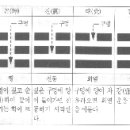 제 2 장 산의 형태와 길흉 이미지