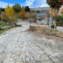 수원-1667 이미지