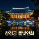 대원전선(주) | 2026 창경궁 물빛연화 예약 및 티켓 예매 주차 꿀팁 안내