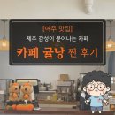 [여주 맛집] 제주 감성이 묻어나는 조용한 감귤 카페, '귤낭' 후기🍊