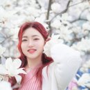 혜야사진관 이미지