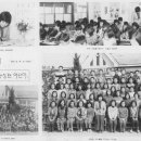 대마초등학교 이미지