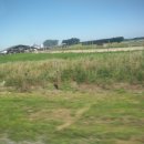 대평원목장 이미지