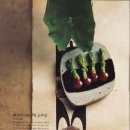 사월의국수 이미지