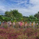 토란어린이집 이미지