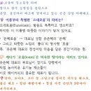 으네로움 이미지