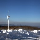 삼양목장 이미지