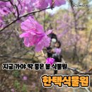 한택 | 용인 한택식물원 봄, 지금 가야 하는 이유 직접 다녀온 후기