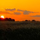 하늘공원 이미지