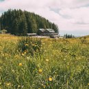 컴퓨터마을 이미지