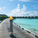 오션컴퍼스 이미지