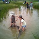 서경들 마을 이미지