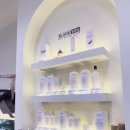 블랭크smp 이미지